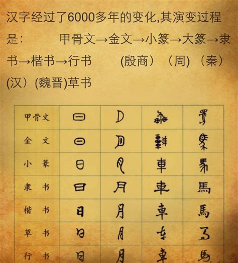 汉字演变查询|查字网